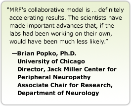 MRF's collaborative model is … definitely accelerating results. The scientists have made important advances that, if the labs had been working on their own, would have been much less likely. --Brian Popko, Ph.D., University of Chicago, Director, Jack Miller Center for Peripheral Neuropathy, Associate Chair for Research, Department of Neurology